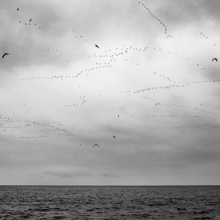 Oceano