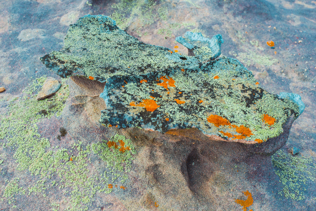 Tidal Terrain 2
