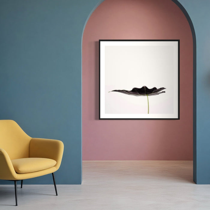 Minimalist Leaf