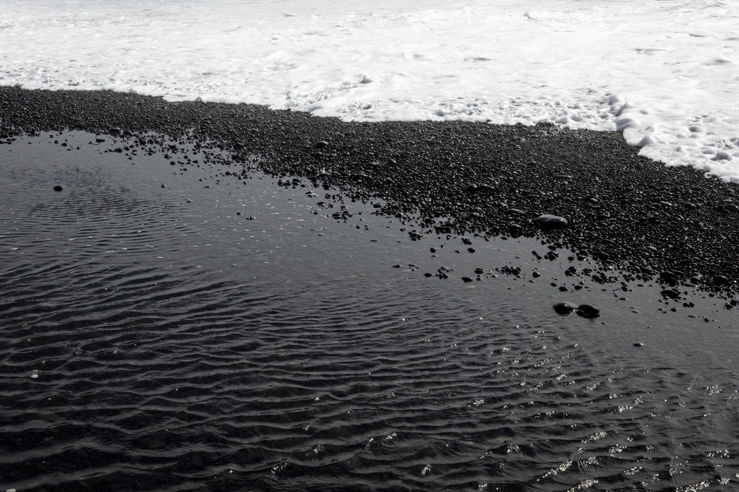 Black Tide