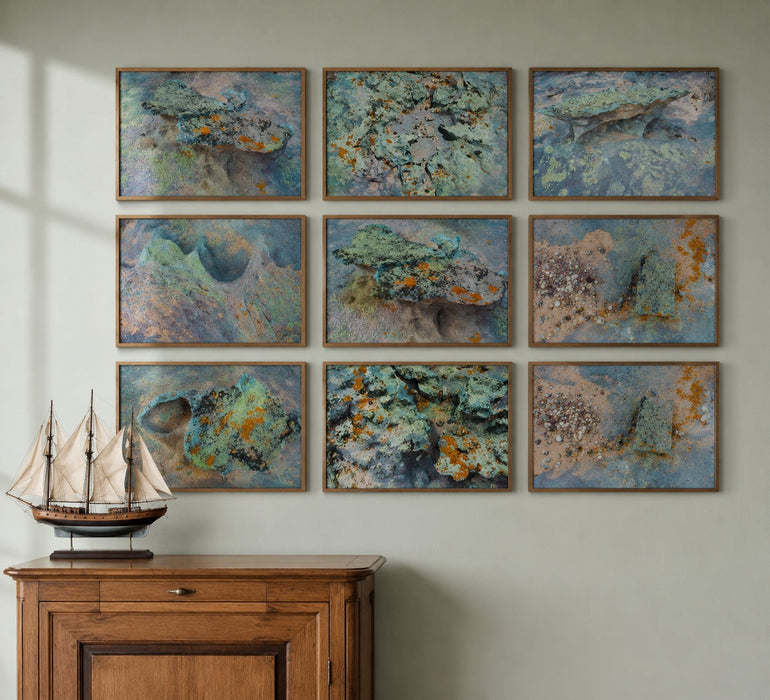 Tidal Terrain 4