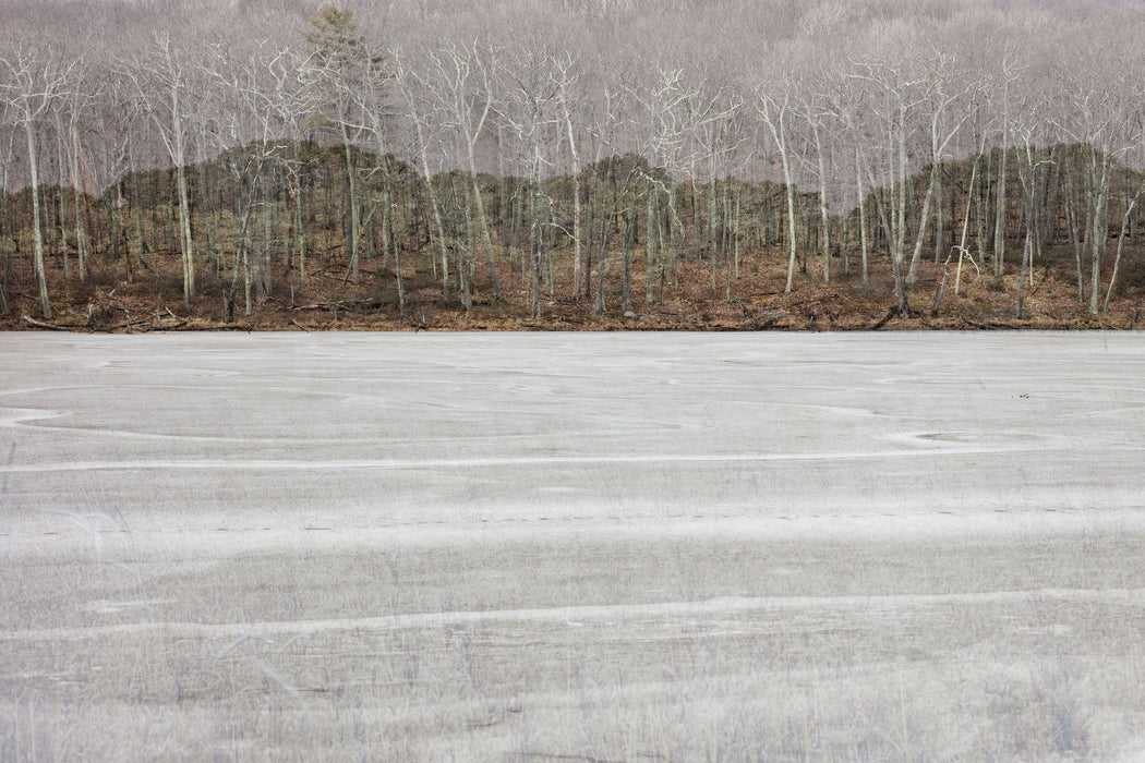 Winter Echoes